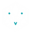 Verilon logo